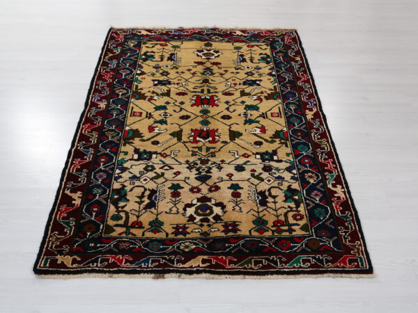 Anatolian Vintage Rug